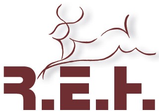 R.E.H. Gmbh & Co. KG